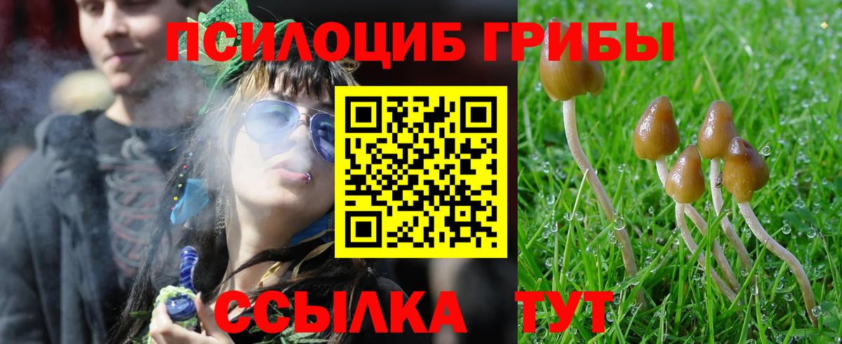 Артём  Галлюциногенные грибы мухоморы  Галлюциногенные грибы мухоморы  Вход с VPN 